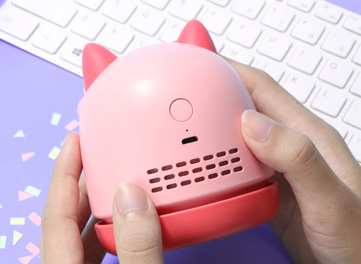 Charming Cat Desktop Dust Buster